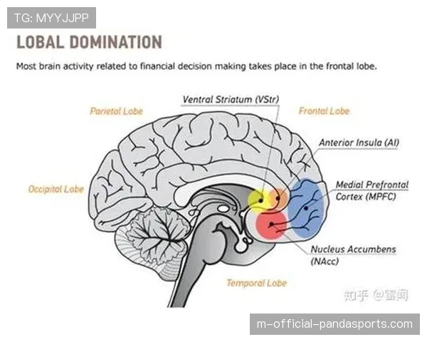 中国球员NACC适应情况追踪 技术特点逐步转型